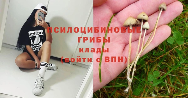 амф Белоозёрский