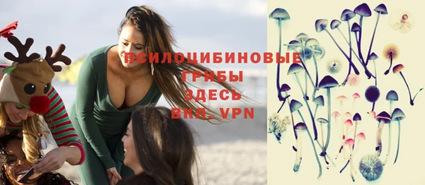 амф Белоозёрский