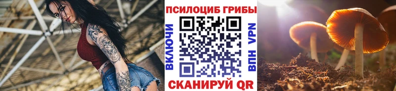 Псилоцибиновые грибы Magic Shrooms Волгореченск